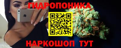 ПСИЛОЦИБИНОВЫЕ ГРИБЫ Кулебаки