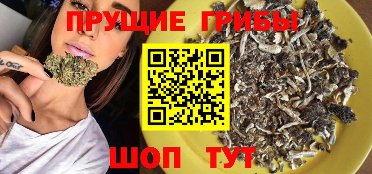 Галлюциногенные грибы прущие грибы  Псилоцибиновые грибы мухоморы  Калининград  Вход с VPN 