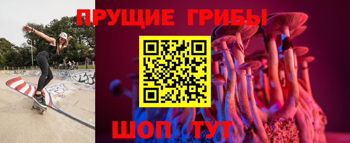 Галлюциногенные грибы мухоморы Калининград
